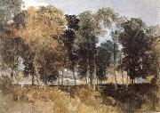 Joseph Mallord William Turner Forest oil painting artist
